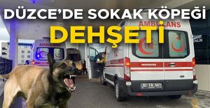 KÖPEĞİN SALDIRISINA UĞRAYAN KÜÇÜK ÇOCUK TEDAVİ ALTINA ALINDI