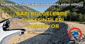 VATANDAŞLAR TEPKİ GÖSTERDİ, DÜZCE BELEDİYESİ AÇIKLAMA YAPTI