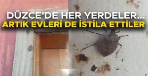 UZMANINDAN ‘KESİNLİKLE ELLE DOKUNMAYIN...