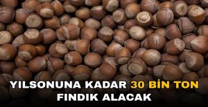 FINDIK FİYATLARININ YÜKSELMESİ BEKLENİYOR