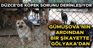 4 BİN TL VERMEZSEM KÖPEĞİM ELLERİNDE...