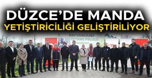 ÜRETİCİLERE 17 ADET MANBDA BOĞASI...