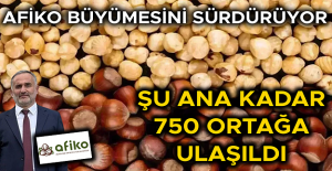 UZUN: “FINDIĞI İŞLEYEREK GERÇEK DEĞERİNDE SATACAĞIZ”