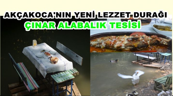 YENİ LEZZET DURAĞI ÇINAR ALABALIK TESİSİ SİZLERLE 